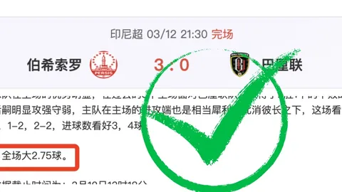 海外新星球员过度赞誉热议不断，十大精彩讨论来袭！