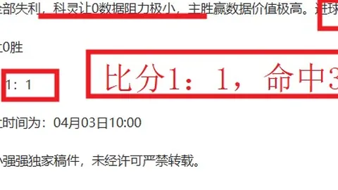 奈梅亨主场优势解析，期号专家质合推荐前瞻