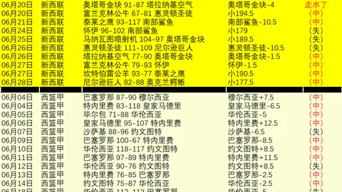 韩鹏与斯卢茨基离职解析：果断离场彰显风范，不失尊严